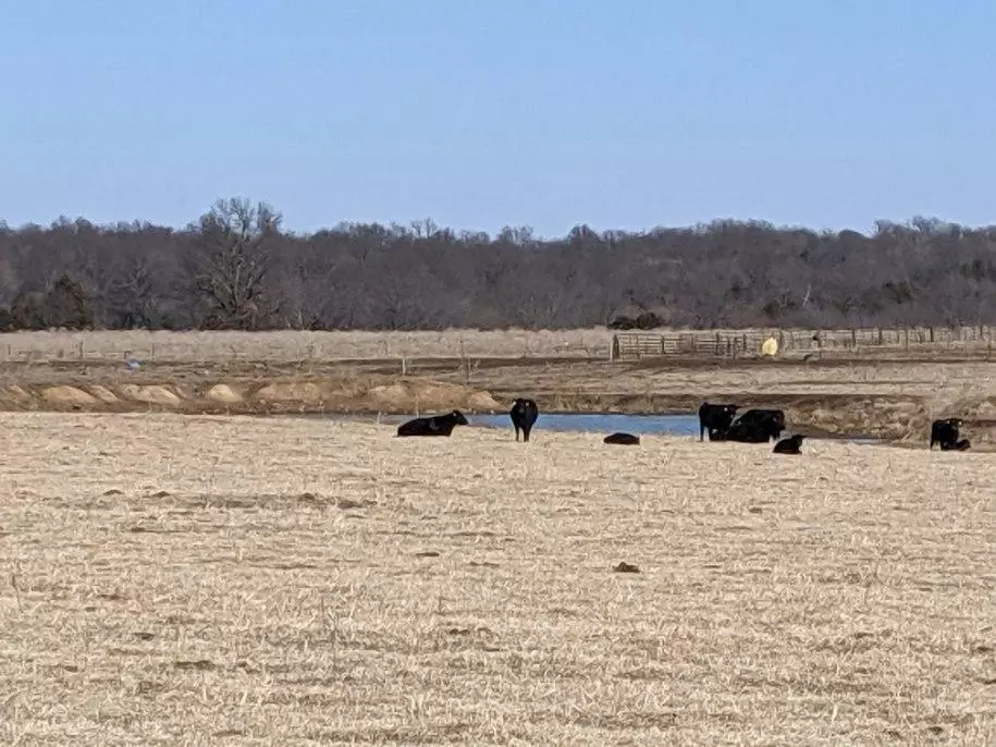 Lamar, MO 64759,52 NE 100th LN