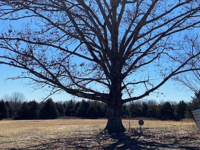 Peace Valley, MO 65788,8878 County Road 1740