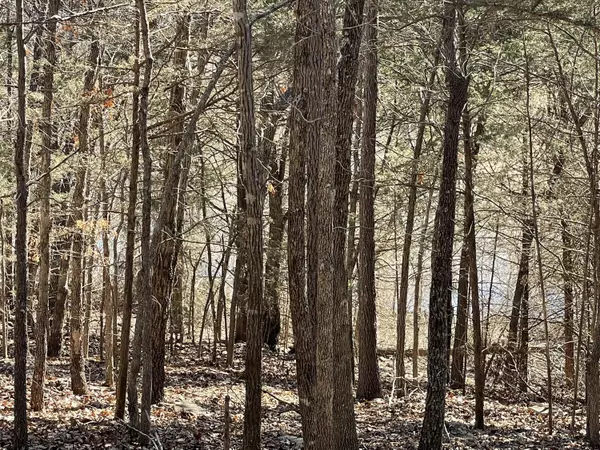 Kimberling City, MO 65686,000 Tonto Rim