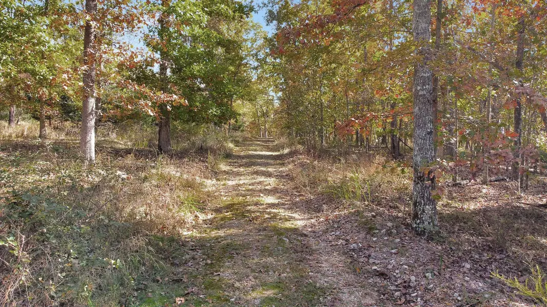 000 Rukavina Trail #Lot 8, Pottersville, MO 65790