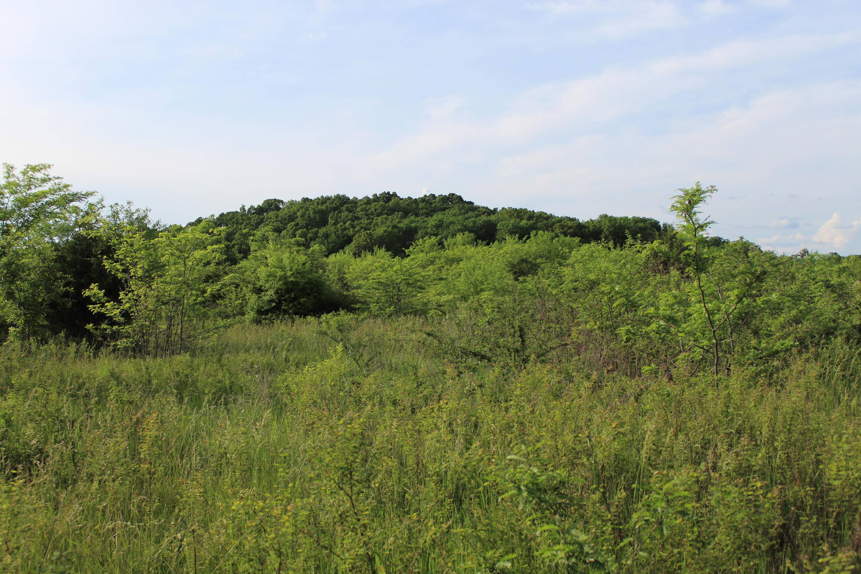Pleasant Hope, MO 65725,000 W State Highway Cc