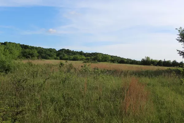 Pleasant Hope, MO 65725,000 W State Highway Cc