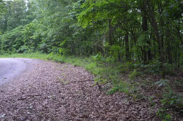 Bruner, MO 65620,Lot 26-1 High View Circle