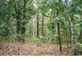 Lot 6 East 86 HWY, Blue Eye, MO 65611