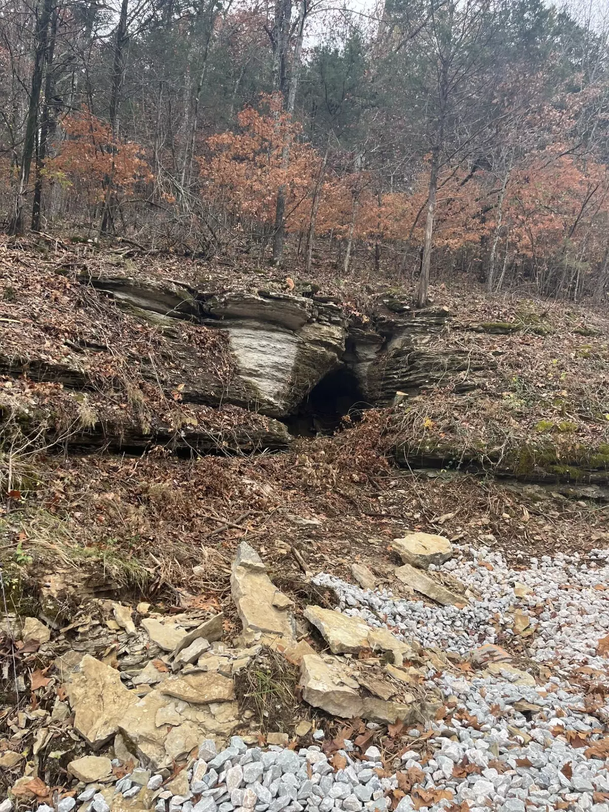 Cape Fair, MO 65624,Lot 213 Lone Oak DR