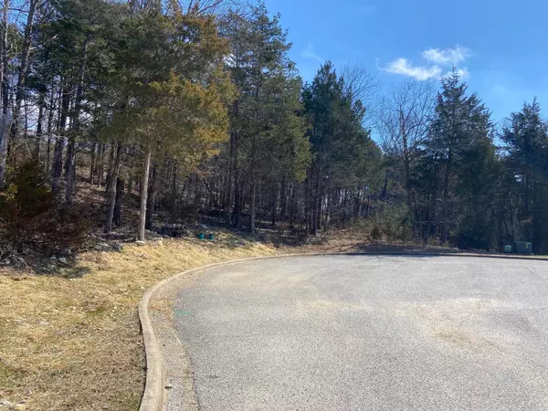 Lot 25 Spring CT, Branson, MO 65616