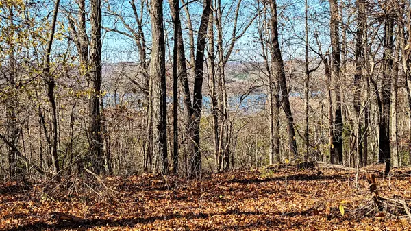 Cape Fair, MO 65624,Tract 5-14 Dogwood Hills EST
