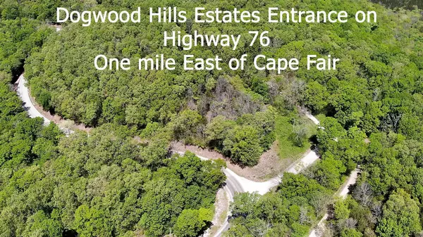 Cape Fair, MO 65624,Tract 5-14 Dogwood Hills EST