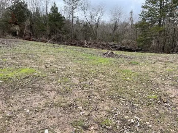 Alton, MO 65606,000 Ff Highway