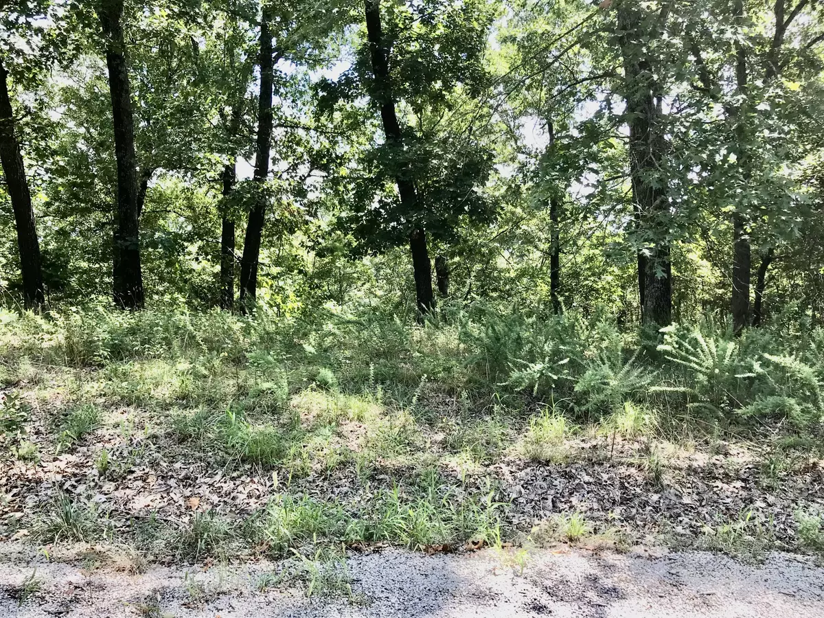 Galena, MO 65656,Lot 2 Rose Hill LN