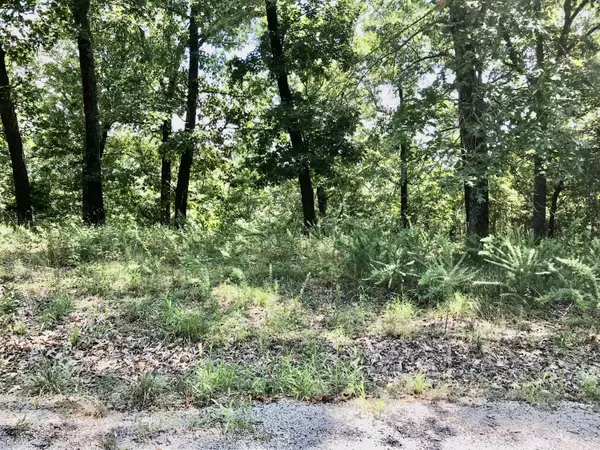Lot 2 Rose Hill LN, Galena, MO 65656