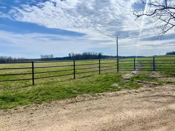Theodosia, MO 65761,000 County Road 902