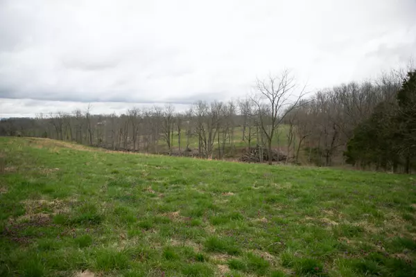 Galena, MO 65656,000 Willow LN