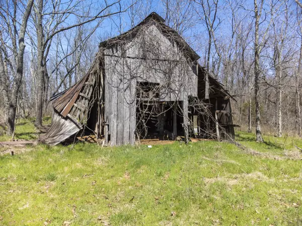 Pottersville, MO 65790,Tbd County Road 7550