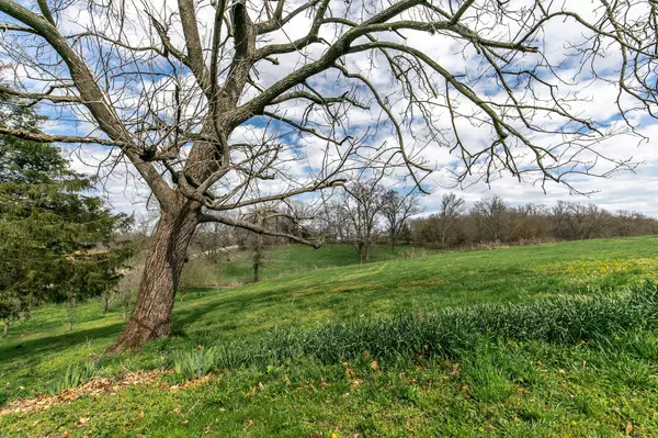 Willard, MO 65781,7732 W Farm Road 94