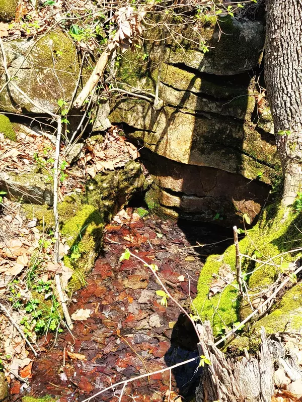 Oldfield, MO 65720,Tbd 000 State Hwy T