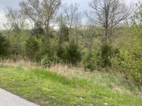 Branson West, MO 65737,Lot 26 Roark Branch DR