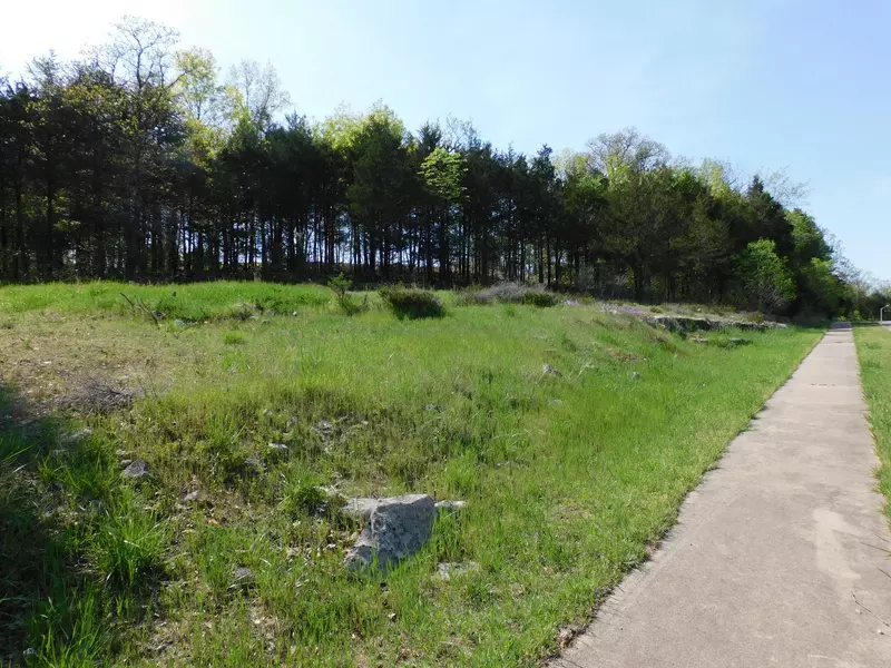 Lot 4 Cottonwood CIR, Branson, MO 65616