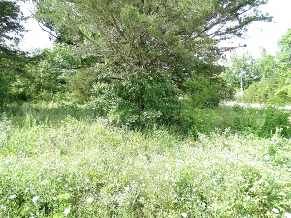 Galena, MO 65656,Lot17 Dockhouse Lane