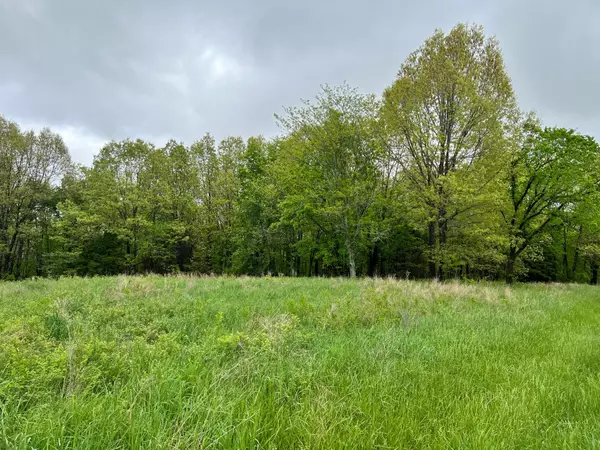 Cape Fair, MO 65624,Lot 131 Walnut Springs Drive