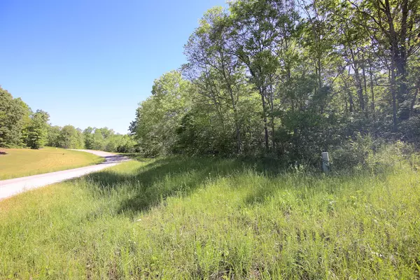 000 Y HWY, Alton, MO 65606