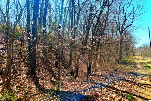 Mt Vernon, MO 65712,Tbd State Highway 174