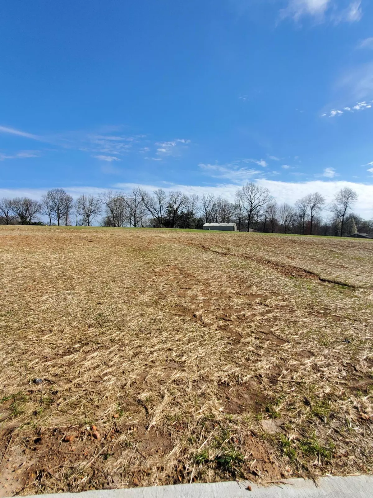 Springfield, MO 65809,Lot 48 Vintage Pointe