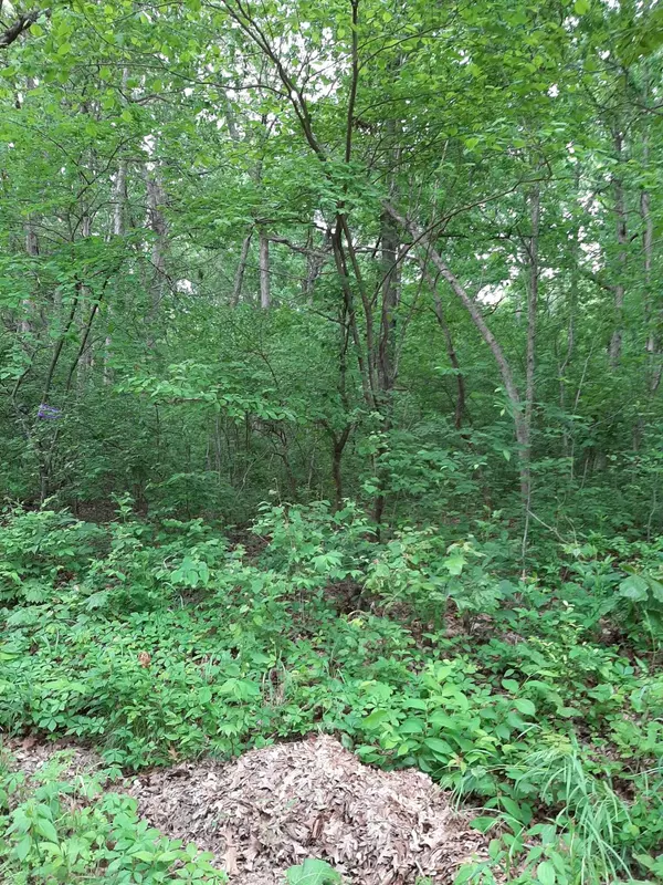 Miller, MO 65707,000 Lawrence 2020