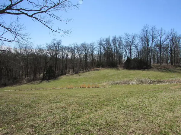 Lot 10 Bob Roy LN, Clever, MO 65631