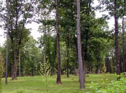 West Plains, MO 65775,000 Us Highway 160