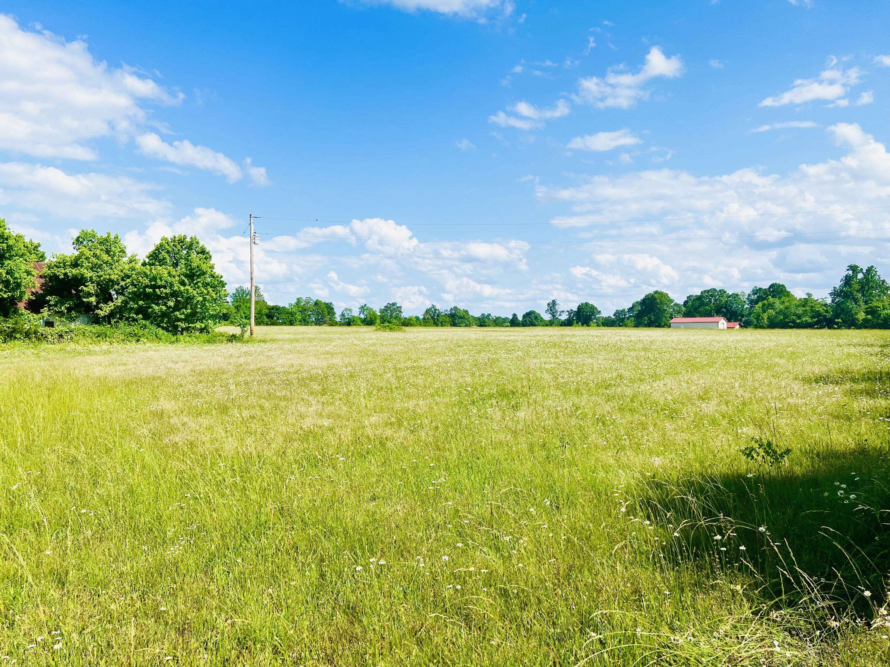 000 Highway 160, Theodosia, MO 65761