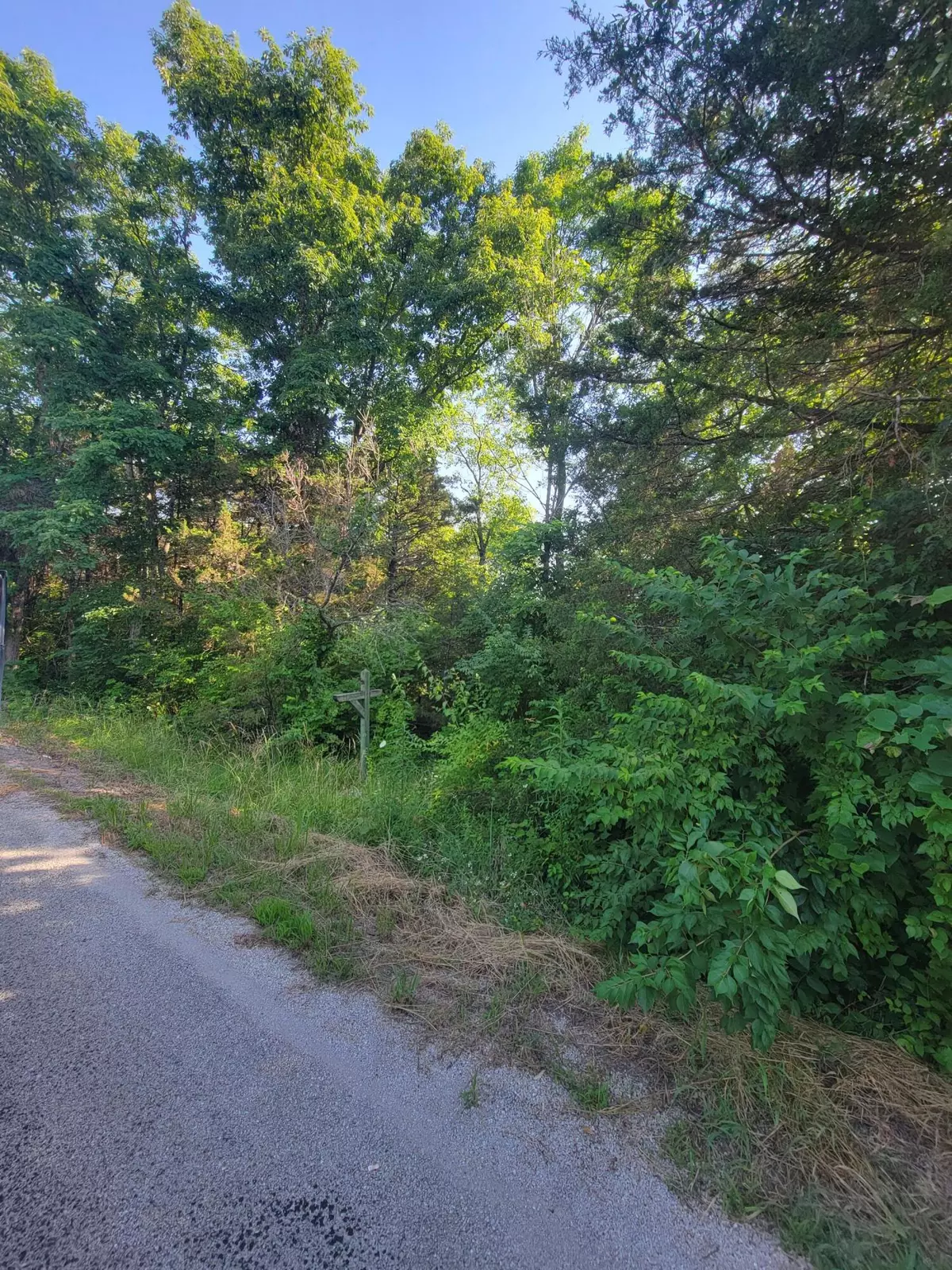 Rockaway Beach, MO 65740,000 Julie LN