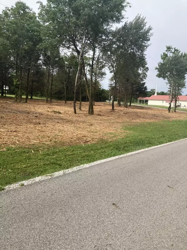 Diamond City, AR 72630,Lots 76-78 Gateway ST