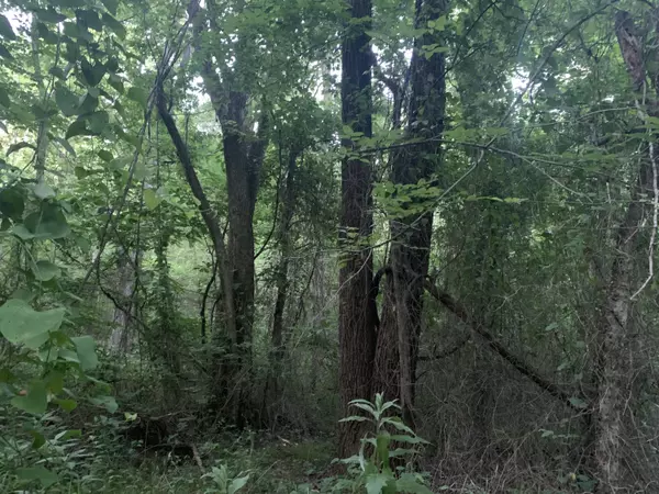 Caulfield, MO 65626,000 State Route Yy