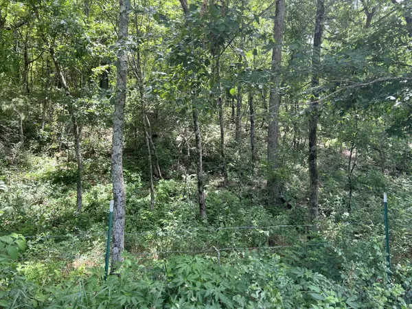 Crane, MO 65633,000 Farm Road 1212