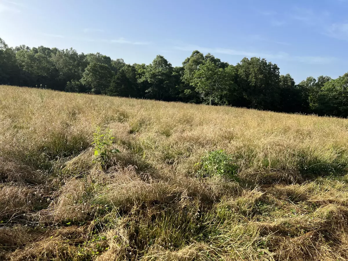 Thayer, MO 65791,000 County Road 371