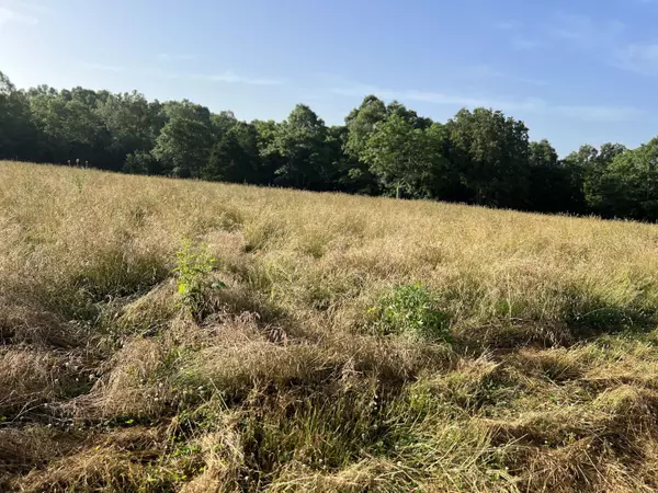 000 County Road 371, Thayer, MO 65791