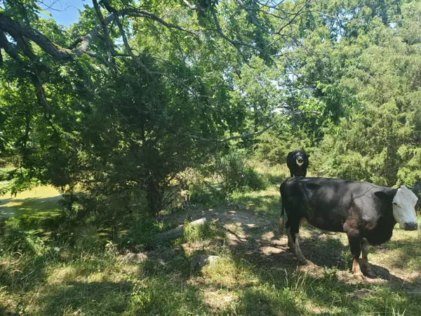 Ava, MO 65608,Tbd Hwy Af