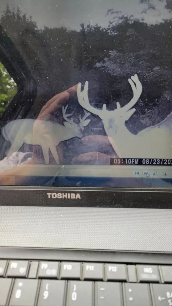 Weaubleau, MO 65774,000 State Highway 83