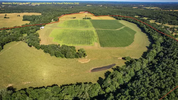 Salem, MO 65560,1224 County Road 3165