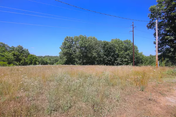 Fordland, MO 65652,292 Fordland Hills DR