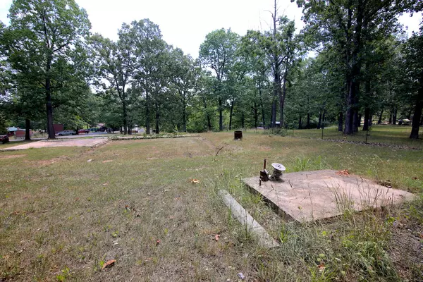 Thayer, MO 65791,273 County Road 393 #9