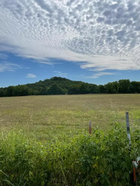 000 Lummis RD, Jane, MO 64856