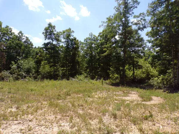 000 Private Road Off Highway Kk, Hartshorn, MO 65479