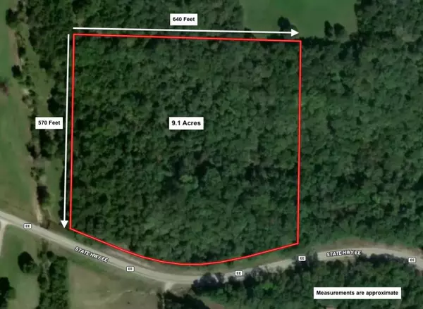 Cape Fair, MO 65624,000 Highway Ee