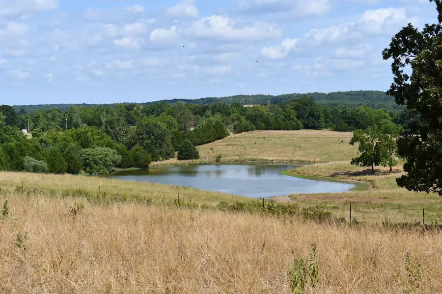 Tbd Forest TRL, Long Lane, MO 65590