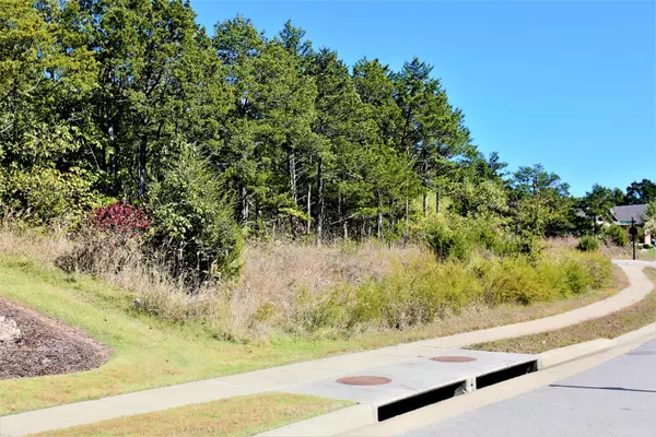 Branson, MO 65616,Lot 54 Bayhill CT