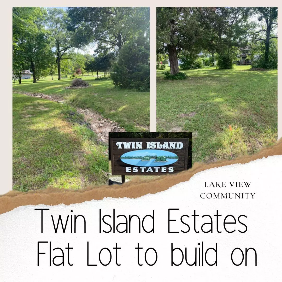 Blue Eye, MO 65611,Lot #14 N Elm ST