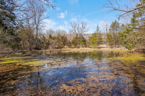 7174 Girdner RD, Ava, MO 65608