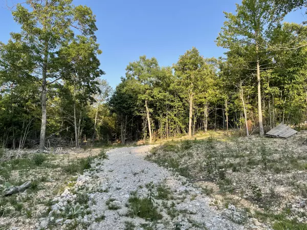 Willow Springs, MO 65793,15490 Sargent Lot #17